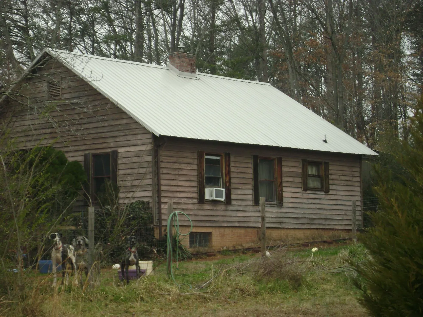 White metal roof on an old wood sided farmhouse, from a Asphalt Shingle Roof Repair job in Abie